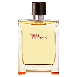 Terre D' Herm�s Masculino Eau de Toilette